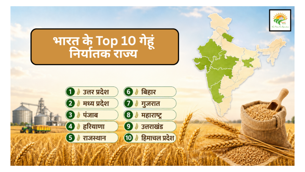 भारत के Top 10 Gehu निर्यातक राज्य