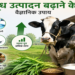 गाय और भैंस का दूध उत्पादन बढ़ाने के वैज्ञानिक उपाय