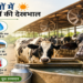 गर्मियों में दुधारू पशुओं की देखभाल कैसे करें? जानिए दूध उत्पादन बढ़ाने और हीट स्ट्रेस से बचाने के प्रभावी उपाय