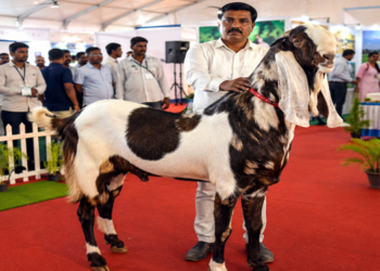 यूपी स्मॉल लाइवस्टॉक कॉन्क्लेव-2026 का आगाज़, 5 लाख रुपये के बकरे ‘युवराज’ ने बटोरी सुर्खियां