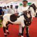 यूपी स्मॉल लाइवस्टॉक कॉन्क्लेव-2026 का आगाज़, 5 लाख रुपये के बकरे ‘युवराज’ ने बटोरी सुर्खियां