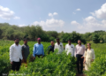खेत बचाओ अभियान के तहत पुणे में किसानों को मृदा स्वास्थ्य संरक्षण का दिया गया संदेश, फूलों की खेती में टिकाऊ तकनीकों पर जोर