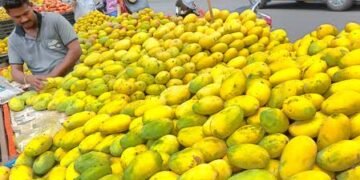 नेपाल ने भारतीय आम पर प्रतिबंध नहीं लगाया, केंद्र सरकार ने भ्रामक खबरों का किया खंडन