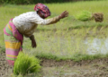 Agriculture Loan Waiver Schemes