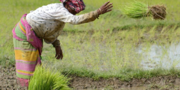 Agriculture Loan Waiver Schemes