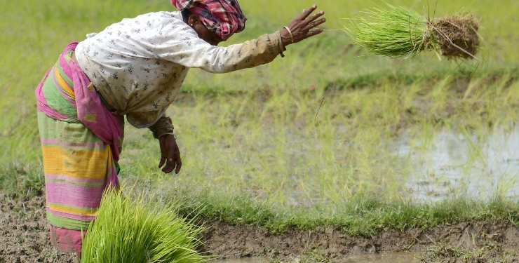 Agriculture Loan Waiver Schemes