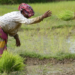 Agriculture Loan Waiver Schemes