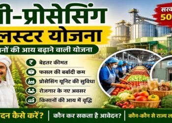 Agro Processing Cluster Scheme