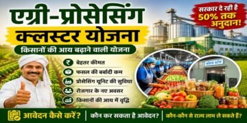 Agro Processing Cluster Scheme