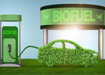 Biofuel Policy