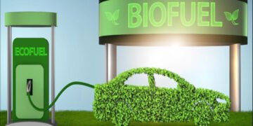 Biofuel Policy