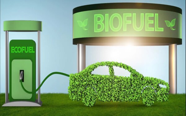 Biofuel Policy