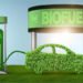 Biofuel Policy