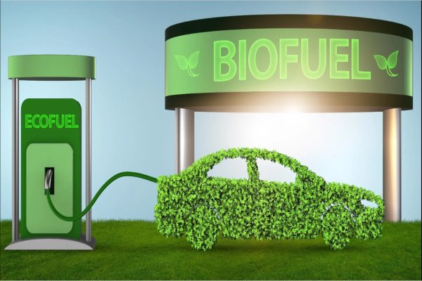 Biofuel Policy