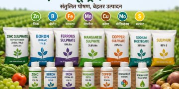 माइक्रोन्यूट्रिएंट उर्वरकों का बाजार: बढ़ती मांग, नए अवसर और भविष्य की दिशा
