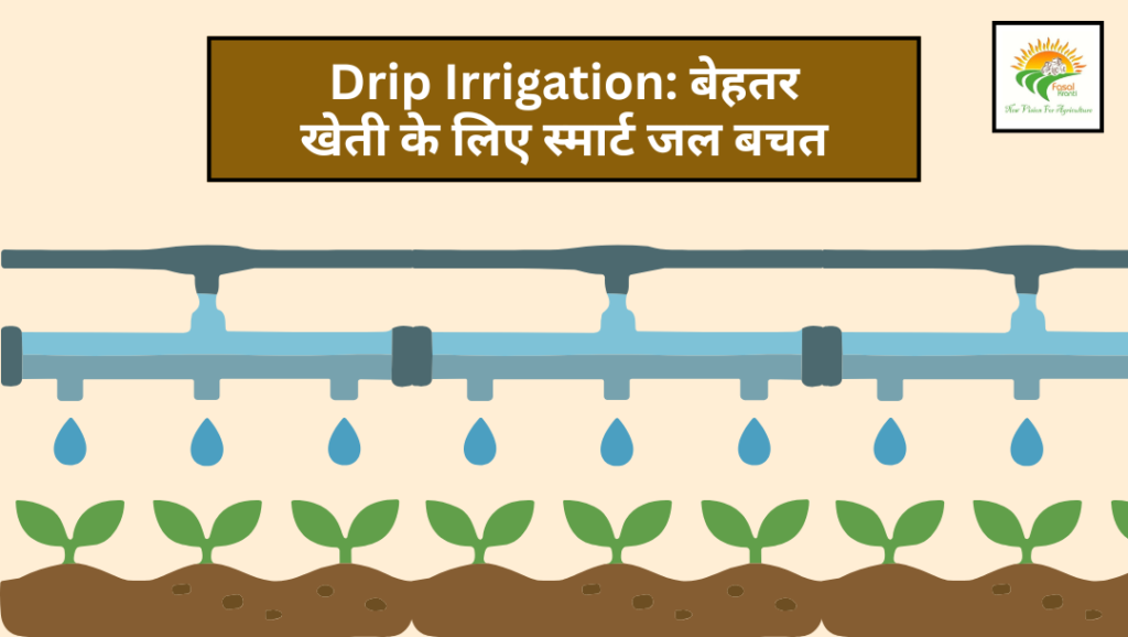Drip Irrigation