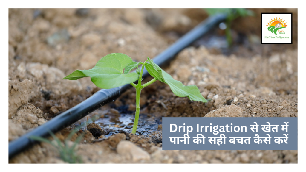 Drip Irrigation