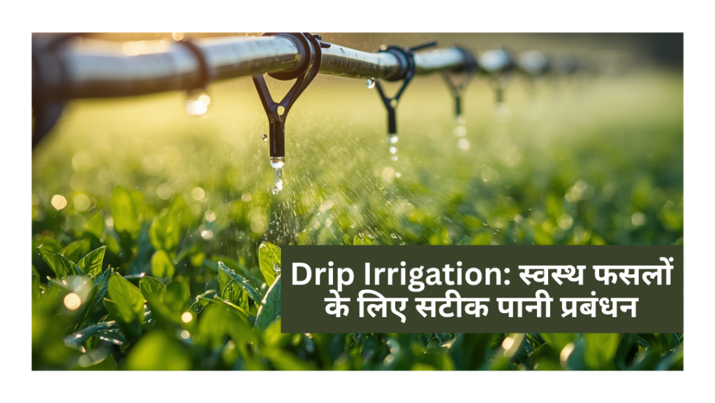 Drip Irrigation