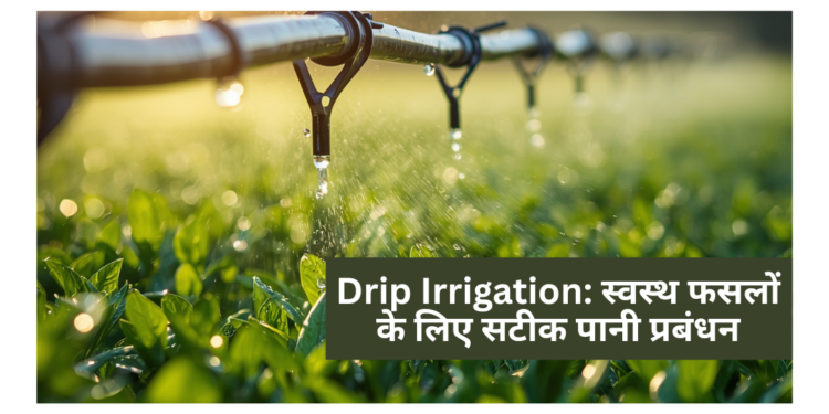 Drip Irrigation