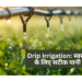 Drip Irrigation