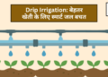 Drip Irrigation