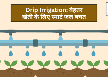 Drip Irrigation