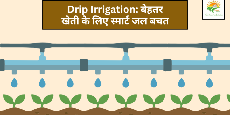 Drip Irrigation