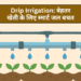 Drip Irrigation