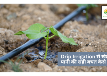 Drip Irrigation