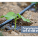 Drip Irrigation
