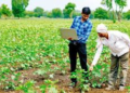 E Governance in Agriculture