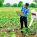 E Governance in Agriculture