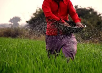 Fertilizer Subsidy