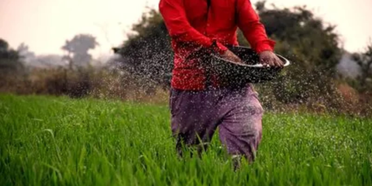 Fertilizer Subsidy