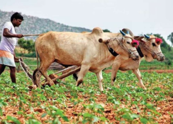 Gramin Krishi Parivahan Yojana