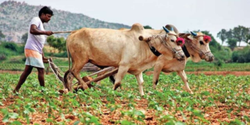 Gramin Krishi Parivahan Yojana