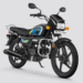 Hero Ethanol Bike