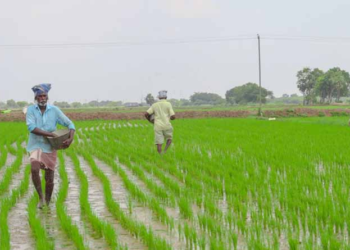 Krishi Niryat Yojana