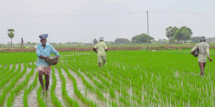 Krishi Niryat Yojana