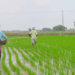 Krishi Niryat Yojana
