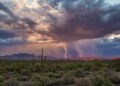 Late Monsoon