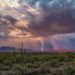 Late Monsoon