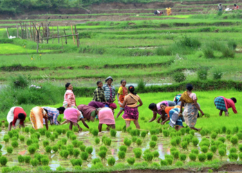 Mahila Kisan Sashaktikaran Pariyojana