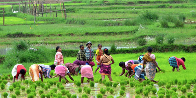 Mahila Kisan Sashaktikaran Pariyojana