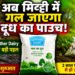 Mother Dairy