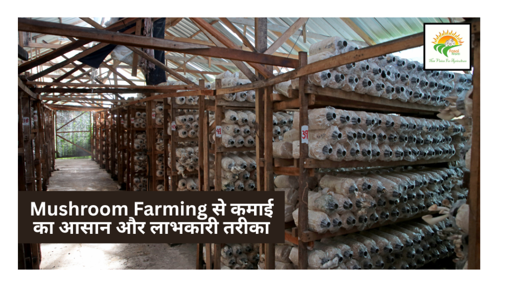 Mushroom Farming