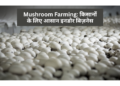 Mushroom Farming