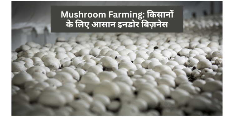 Mushroom Farming