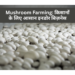 Mushroom Farming