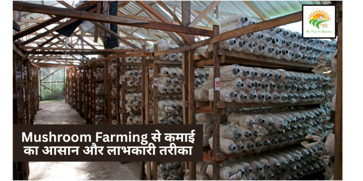 Mushroom Farming